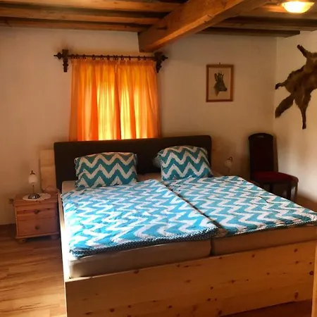 Haus Moser Apartment