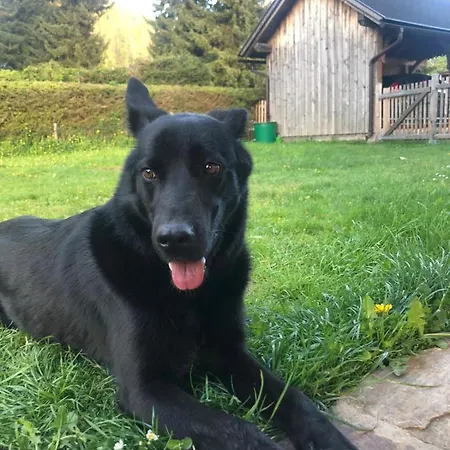 Haus Moser Altaussee