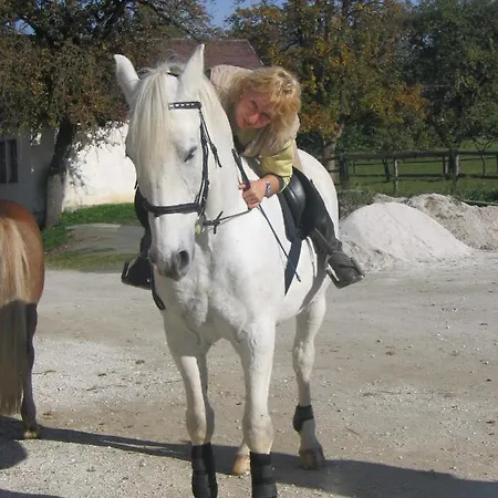 Haus Moser Altaussee