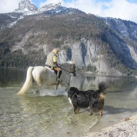 Apartamento Haus Moser Altaussee