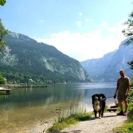 Apartment Haus Moser *