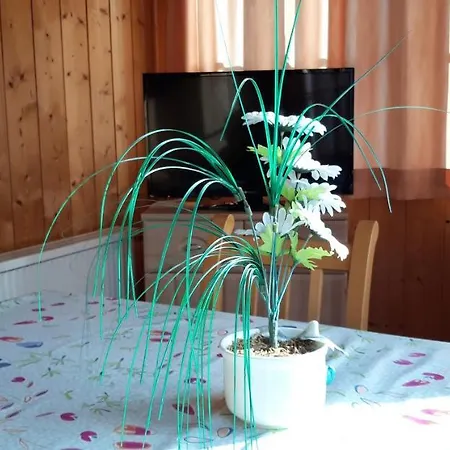 Haus Moser Apartamento *