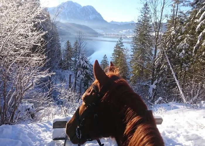 Appartement Haus Moser *