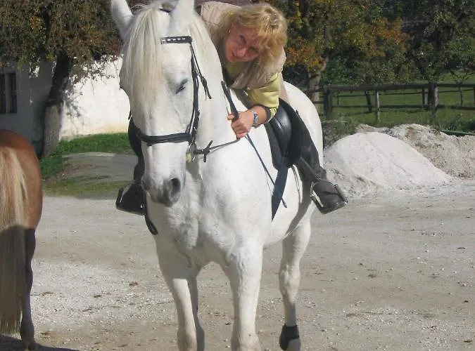 Haus Moser אלטאוסיי